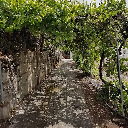 La Hoyita De Tunte * San Bartolome de Tirajana (Gran Canaria)