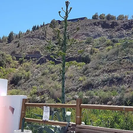 Holiday home La Hoyita De Tunte San Bartolome de Tirajana (Gran Canaria)