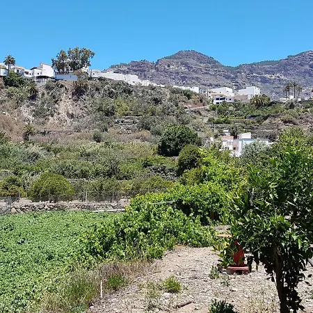 La Hoyita De Tunte *