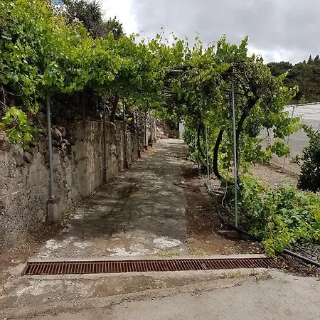 La Hoyita De Tunte *