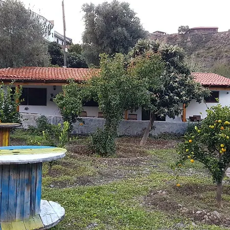 La Hoyita De Tunte *